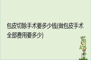 昌吉切除包皮手术要多少钱(包皮手术吉林)