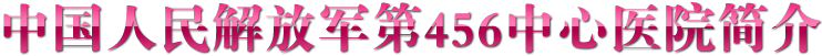 中国人民解放军第456中心医院简介